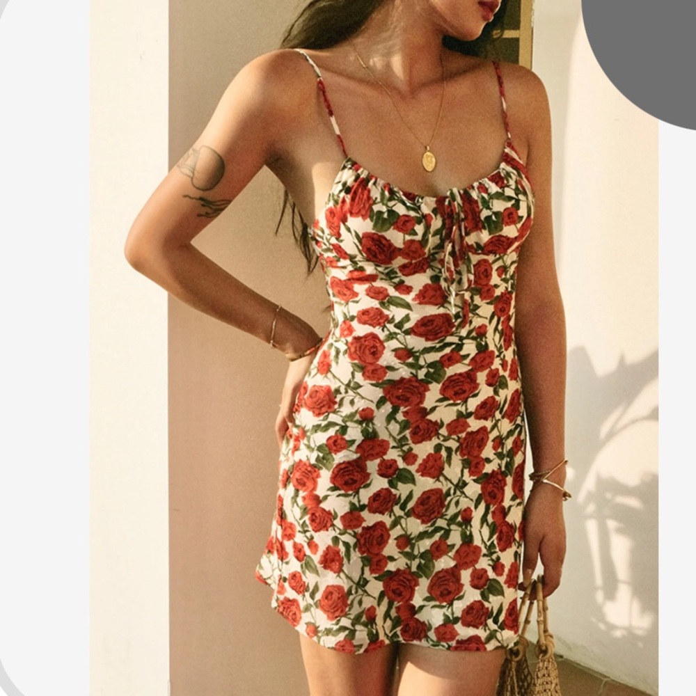 BNWT sheer lined rose dress